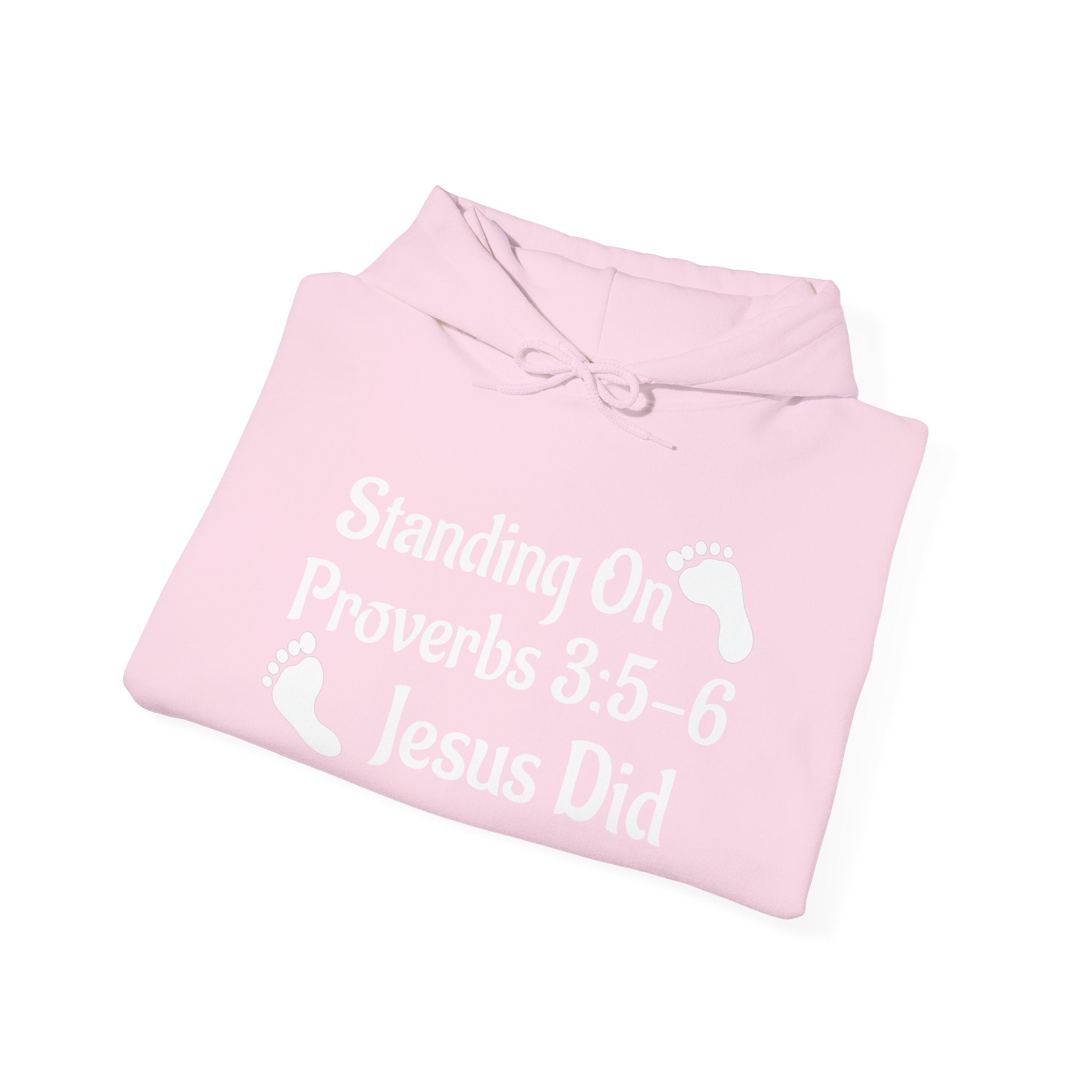 GC "SOTW" HOODIE (E1-D2)