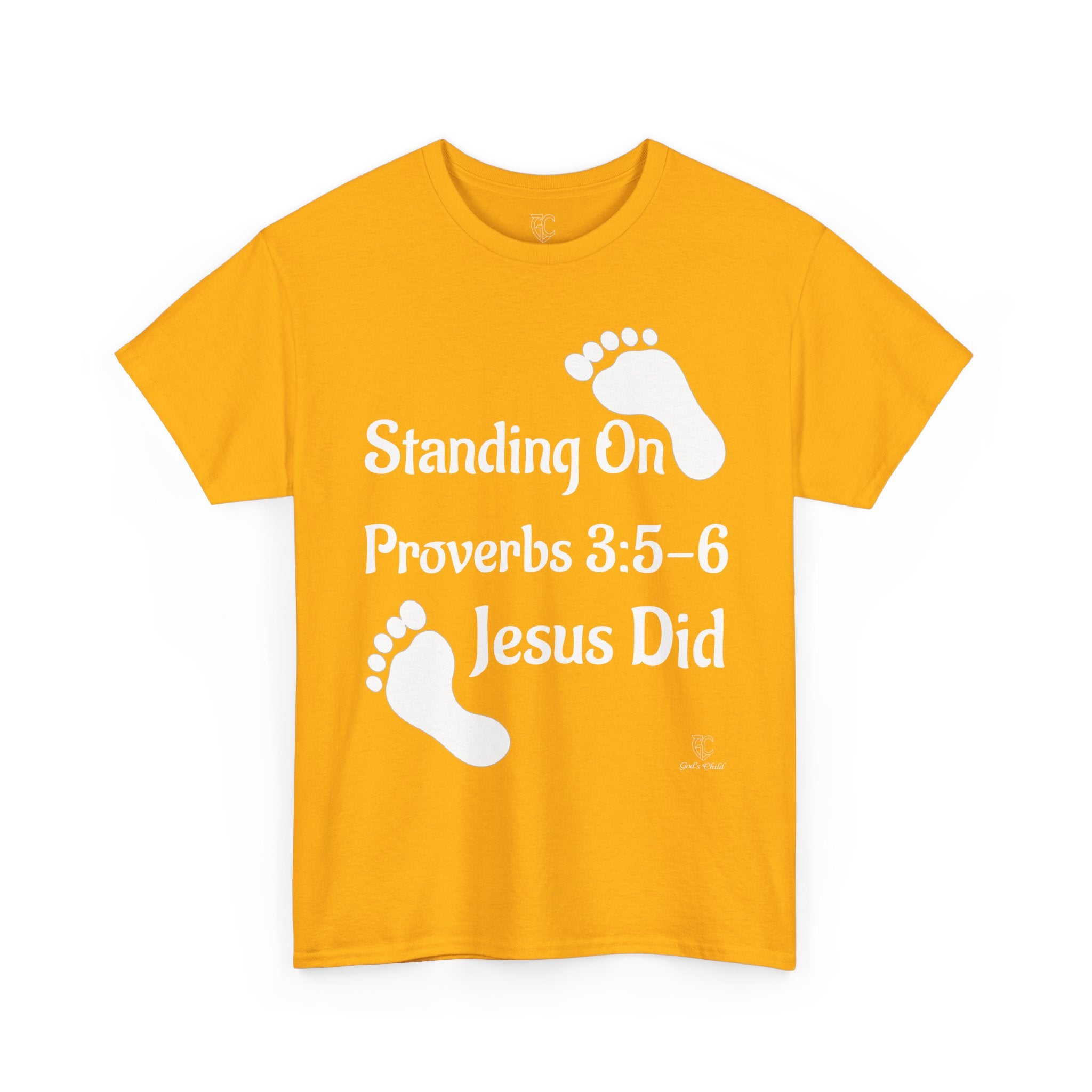 GC "SOTW" T-SHIRT (E1-D2)